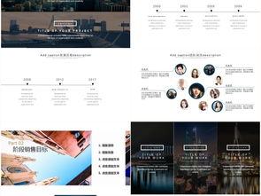 房地產(chǎn)整合營(yíng)銷(xiāo)策劃與銷(xiāo)售執(zhí)行方案